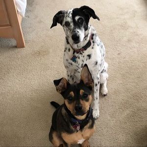 Meet your Posher, Wesley